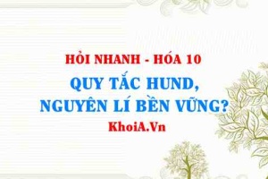 Quy tắc Hund và Nguyên lý bền vững lớp 10? Hỏi nhanh Hóa 10